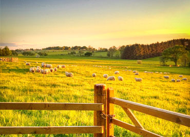 Bessiestown Bed & Breakfast Catlowdy Carlisle